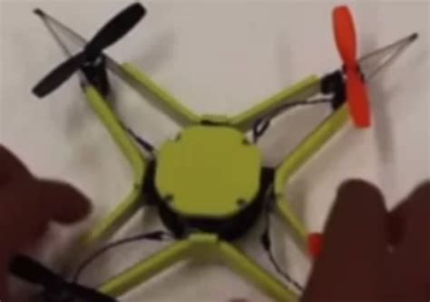 drone modeled  insects  built  crash   champ