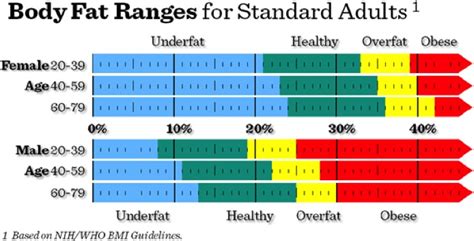 body fat ranges for standard adults hidden dorm sex