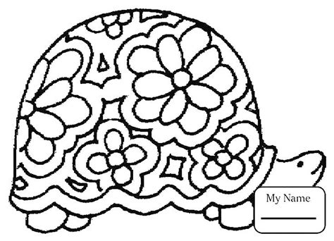 turtle image    color turtles kids coloring pages