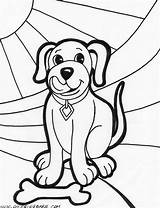 Coloring Pages Havanese Printable Dog Dogs Getcolorings Print Tracing Trace Easy sketch template