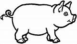 Pig Coloring Pages Pigs Draw Colouring Drawing Kids Printable Animals Cartoon Template Body Small Preschoolers Colour Sheet Large Cute Little sketch template