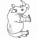 Rhino Neushoorn Kleurplaten Nashorn Rinoceronte Rhinozeros Kleurplaat Colorat Coloriages Coloriage Animale Badak Rinoceronti Ausmalbild Malvorlage Tekeningen Mewarnai Planse Rhinoceros Ausmalbilder sketch template