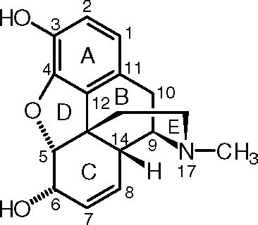 opiophilia     morphinan structure activity relationships