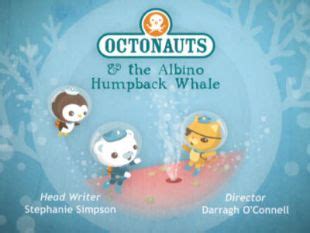 octonauts  albino humpback whale  darragh oconnell