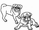 Pug Coloring Pages Two Pugs Puppy Adult Print Clipart Beautiful Dog Printable Drawing Cartoon Pig Color Kids Draw Size Getdrawings sketch template