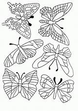 Schmetterling Malvorlagen sketch template