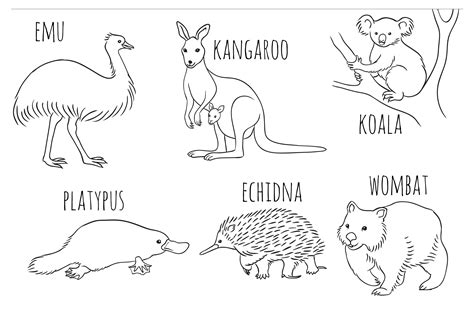 animals  australia coloring pages thudo