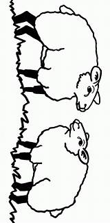 Owce Kolorowanki sketch template