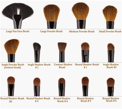 makeup choice makeup brushes