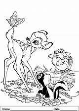 Colorat Desene Bambi Planse Educative Fluturas Caprioara Iepurasul sketch template