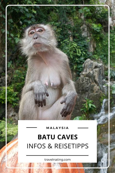 batu caves reisetipps alle informationen rund um die themen anreise