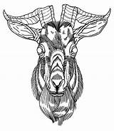 Goat Drawing Head Tattoo Satanic Getdrawings Ink Ram Choose Board Grey sketch template