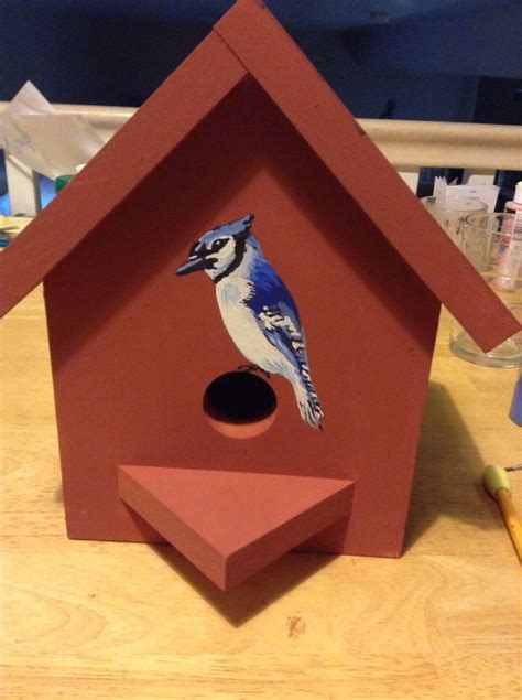 blue jay  bird house bird house bird blue jay