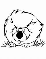 Lion Coloring Cartoon Cute Pages Baby Drawing Lions Head Cliparts Drawings Printable Clipart Clip Kids Colouring Color Juba Para Colorir sketch template