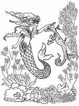 Coloring Pages Mermaid Adult Horse Seahorse Difficult Print Realistic Majestic Colouring Mermaids Seahorses sketch template