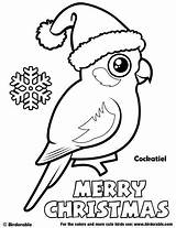 Coloring Pages Christmas Birds Birdorable Cockatiel Cute Printable Cartoon Bird Drawing Aussie Tags Choose Board sketch template