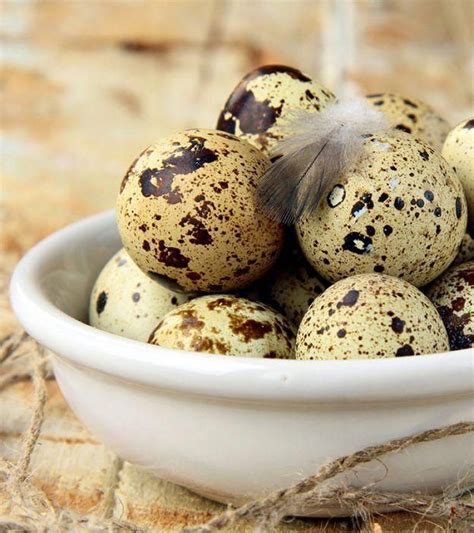 10 Amazing Health Benefits Of Quail Egg Quail Eggs Benefits Quail
