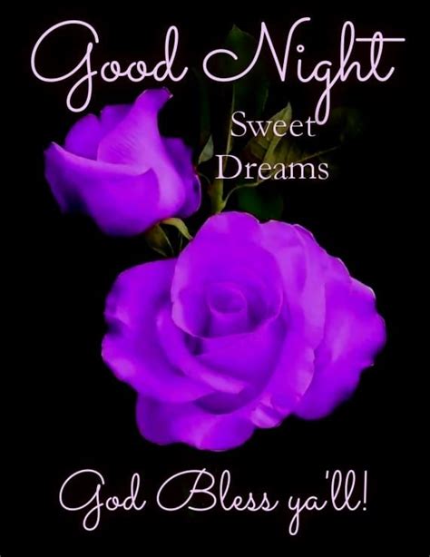 Purple Rose Good Night And Sweet Dreams Pictures Photos