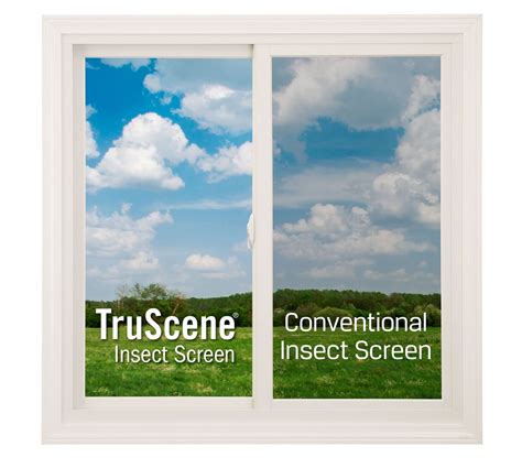 invisible insect window benefits  truscene