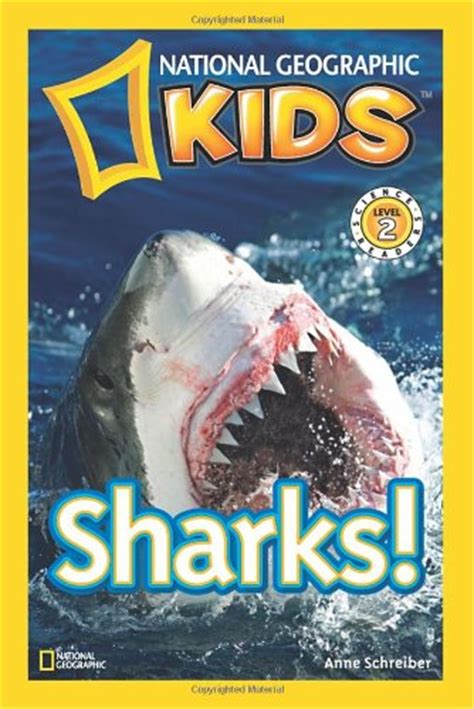 shark books  kids parenting chaos
