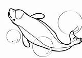 Beluga sketch template