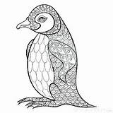 Coloring Penguin Pages Zentangle Adult Adults Stress Books Anti Tattoos Colouring Illustartion King Mandala Sheets Book Dreamstime Details High Printable sketch template