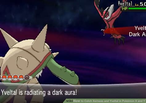 How To Catch Xerneas And Yveltal In Pokémon X And Y 6 Steps