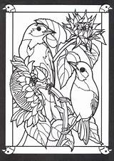 Coloring Pages Stained Glass Letscolorit Adult Bird Book Dover Printable Covers sketch template
