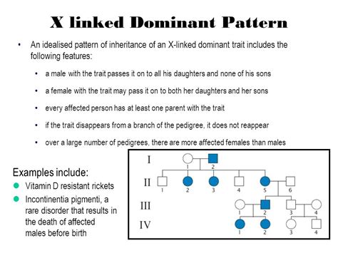 sex linkage and sex determination ppt download
