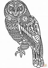 Zentangle Coloring Owl Pages Printable Supercoloring Color Mandala Animal Template Print Cat Categories sketch template