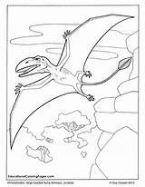 Coloring Dinosaur Pages Dimorphodon Flying Dinosaurs Colouring Kids Realistic Printable Book Adult Books Au Colouringpages Jurassic Color Animal Two Coloriage sketch template