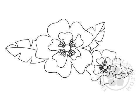 exotic flower coloring page flowers templates