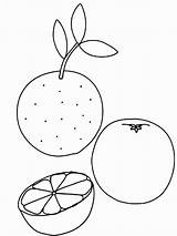 Coloring Pages Fruits Citrus Recommended Printable sketch template