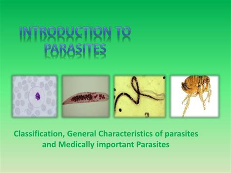 Ppt Introduction To Parasites Powerpoint Presentation Free Download