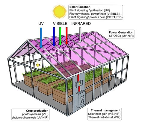 semi transparent solar cells  power greenhouses  slowing plant growth electro solar