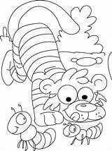 Coloring Tiger Pages Ants Passing Time sketch template