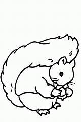 Coloring Pages Squirrel Squirrels Ice Cream Sundae Cartoon Cliparts Animated Print Book Kids Gif Per Clipart Coloringpages1001 Library Clip sketch template