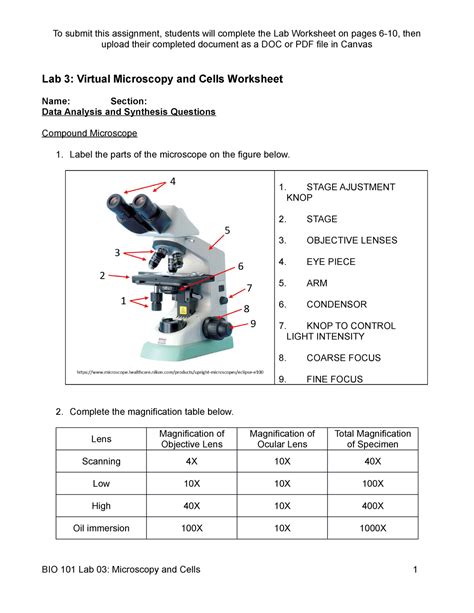 lab  activity packet microscopy lab  microscope lab worksheet