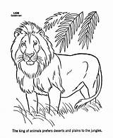 Lion Coloring Pages Wild Animals Printable Kids Lions Animal Male Drawing Realistic Sheets Colour Bestcoloringpagesforkids Print Safari Sheet Book Sea sketch template