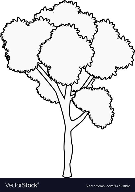 tree coloring page google search tree coloring page coloring pages