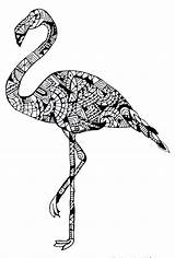 Flamingo Coloring Pages Mandala Zentangle Baby Cecilie Colouring Drawing Animals Adult Uploaded User sketch template