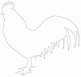 Outline Farm Rooster Animals Outlines Animal Line Pro Printable Cute sketch template