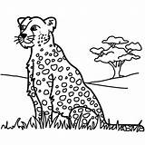 Coloring Leopard Pages Panther Printable Colouring Animals Kids Shark Baby Choose Template Library Clipart Popular Board Cat sketch template