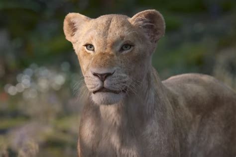 lion king trailer beyonce voices nala   clip  disney