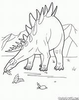 Coloring Colorare Stegosaurus Plateosaurus Kolorowanka Kentrosaurus Malvorlagen Elasmosaurus Dinozaury Dinosaur Dinosaurs Colorkid Pterodaktyl Dinosauri Disegni Dinosaurier Pteranodon Dinosaures Dinosaurios Jagd sketch template