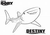 Coloring Dory Finding Pages Destiny Disney Nemo Shark Printable Color Drawing Print Great Crush Sheet Available K5 Worksheets Sheets Getdrawings sketch template