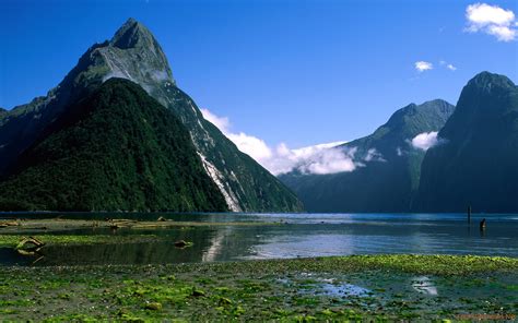 milford sound  zealand traces   sea   green valley