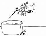 Dengue Mosquito Atividades Parada Aedes água Areia Dos Recipientes Evite Coloque sketch template