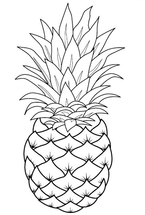 pineapple template  art drawings fruit coloring pages