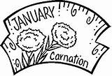 Birthstone Carnation January Coloring Flower Pages sketch template